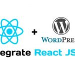 Integrate React Build in WordPress